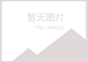 鸡西麻山冷安会计有限公司